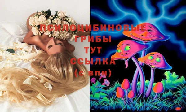 амф Бородино