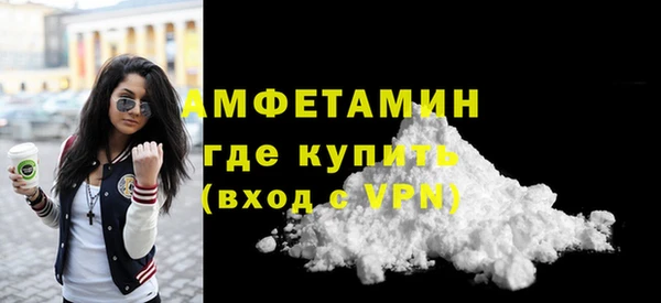 амф Бородино