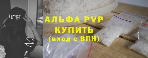 амф Бородино