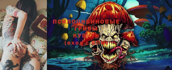 амф Бородино