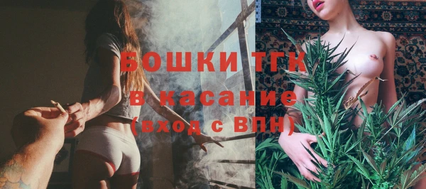 амф Бородино