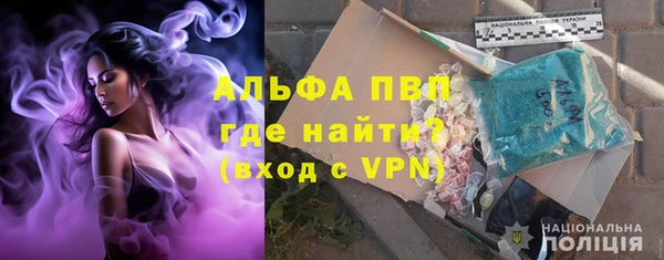 амф Бородино