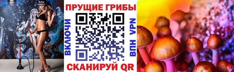 Псилоцибиновые грибы мицелий  Весьегонск 